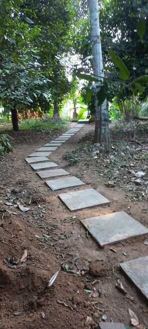 Property grounds - A Magical Retreat by River Periyar, Kerala, India for Vacation (and Work) (Chovvara, Aluva)