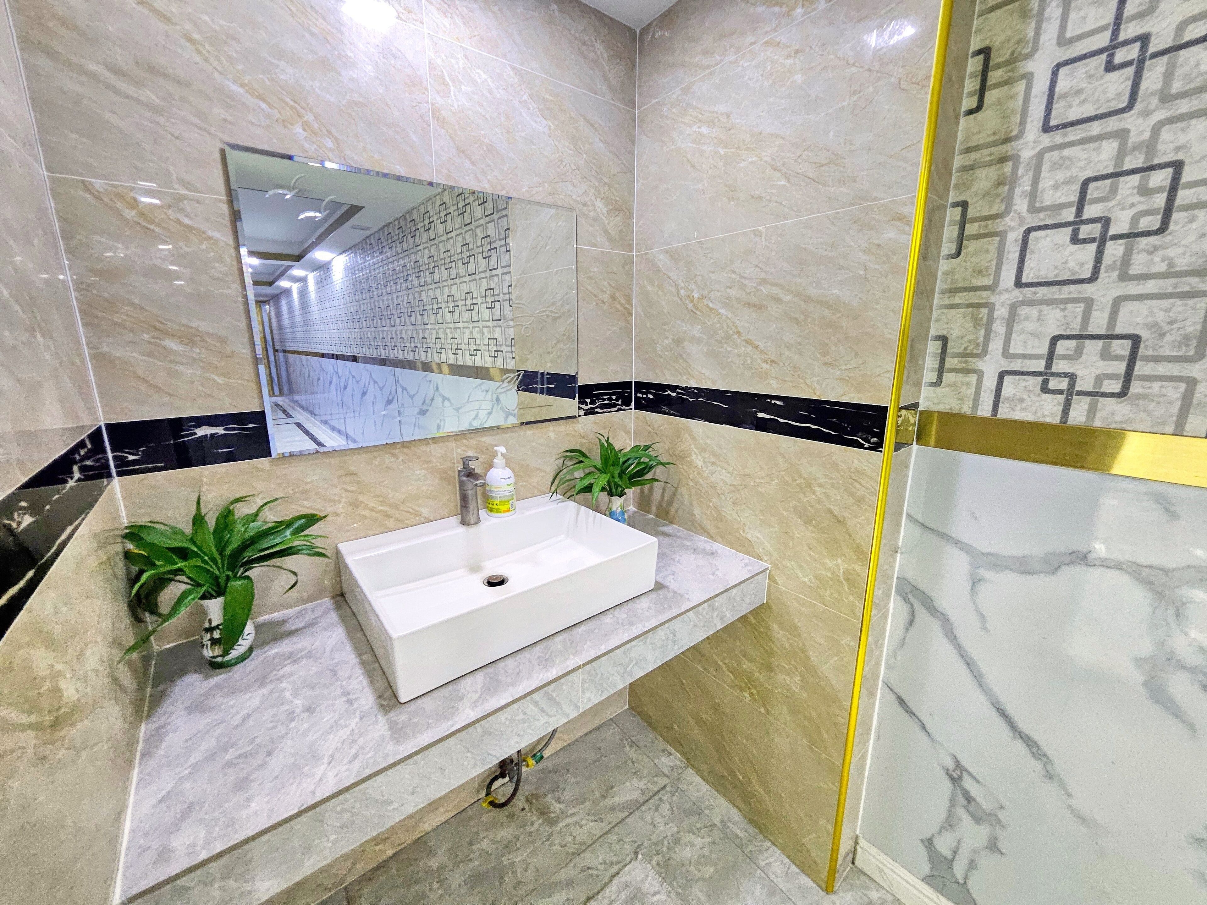 Un baño con un lavabo blanco, dos plantas en macetas, un espejo y una ducha con un diseño geométrico de azulejos.
