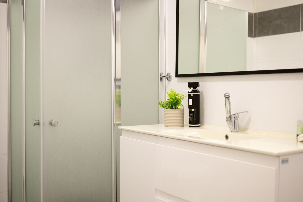 Un baño con un lavamanos blanco, un espejo, una planta en maceta y una zona de ducha.