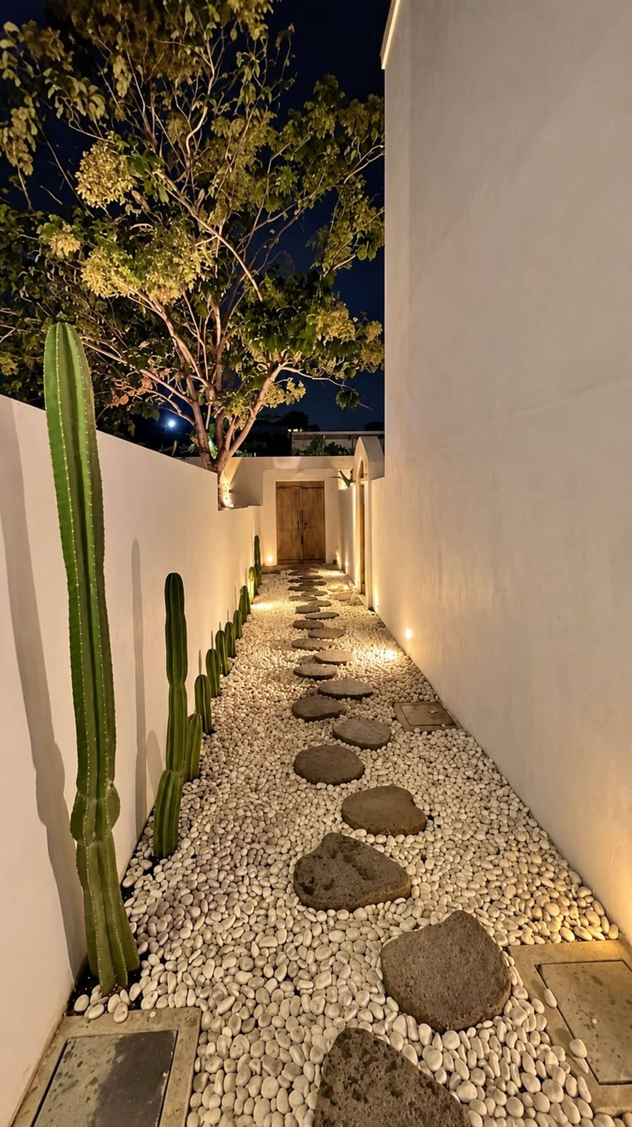 Un chemin nocturne bordé de petits cailloux blancs et de dalles, qui mène à une porte en bois, flanquée de cactus et d’arbres.
