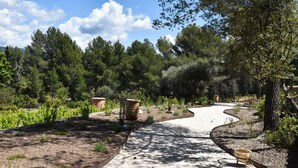 A garden pathway with a curved design, surrounded by various plants and trees. - Chambre d'hôtes with swimming pool, jacuzzi, sauna and working in the vineyards  (La Cadière-d'Azur)