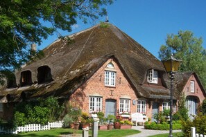 Esterni