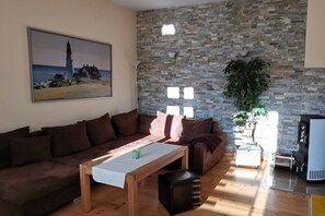 TV connectée, cheminée, lecteur de DVD, livres