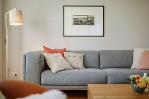 TV connectée, cheminée, lecteur de DVD, livres