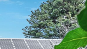 Una casa con fachada de piedra, una puerta negra y un techo con paneles solares.