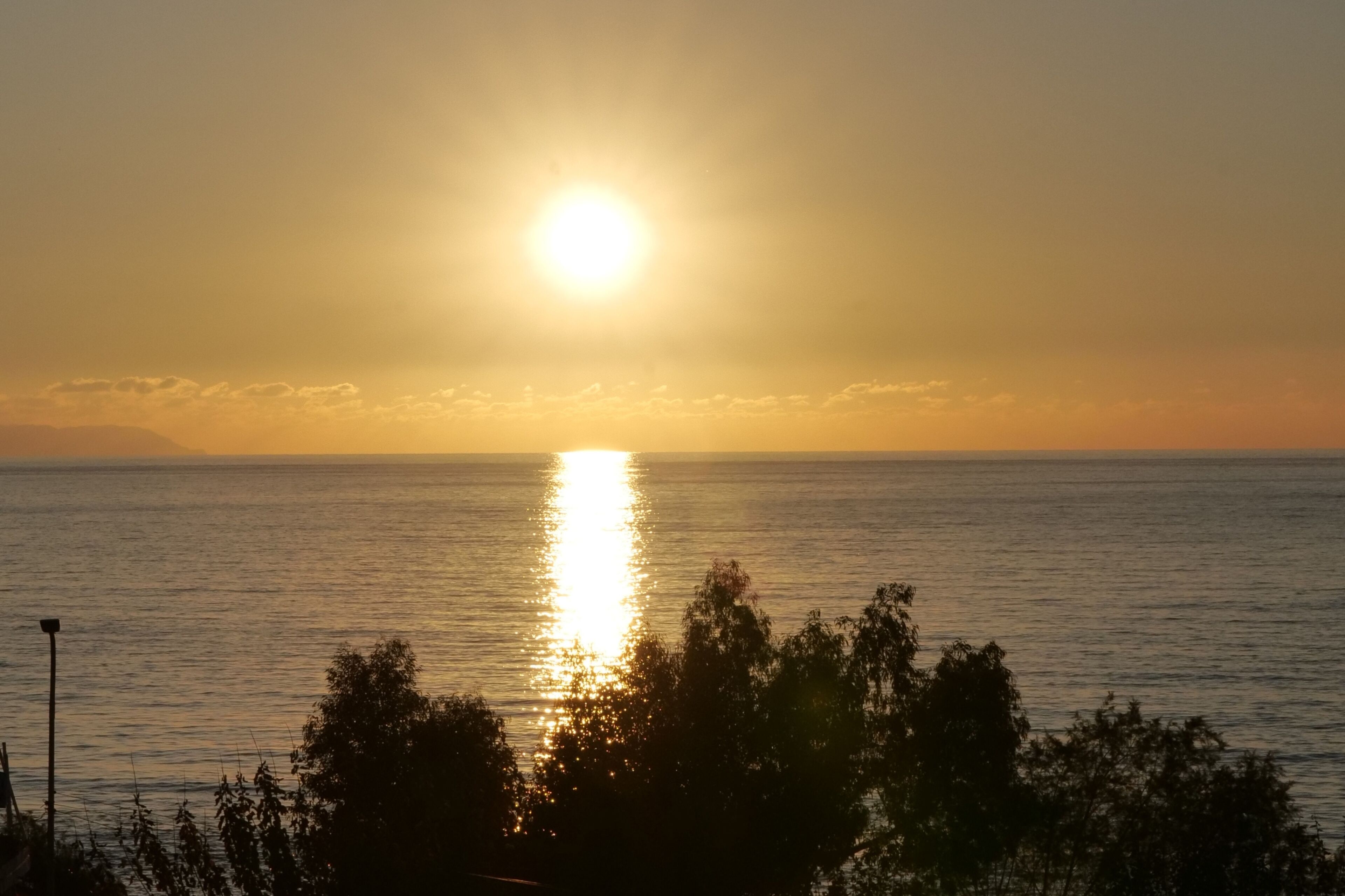 A sunset over a calm sea with a silhouette of trees in the foreground.