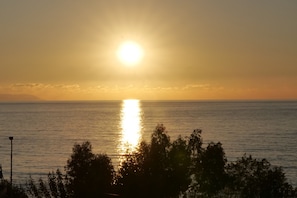 A sunset over a calm sea with a silhouette of trees in the foreground.