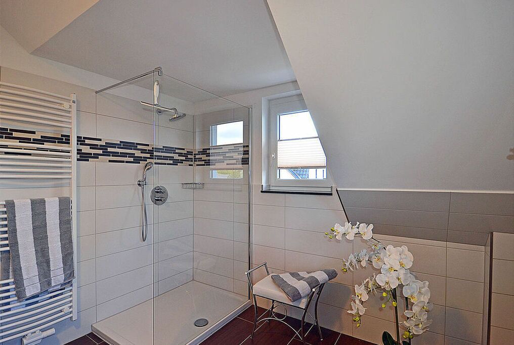 Shower, hair dryer