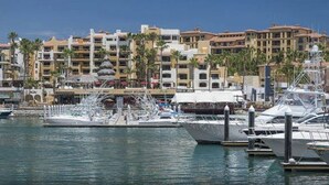 Unclassified image, 2 of 22, button - María Elena (Cabo San Lucas)
