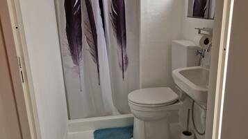 Shower, bidet, towels, soap