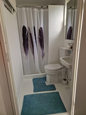 Douche, bidet, serviettes fournies, savon