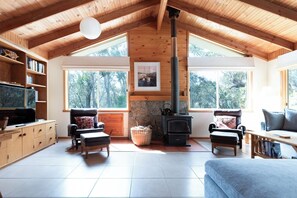 Smart-tv, eldstad och böcker