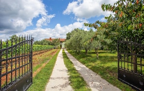 Property grounds - Cozy apartment in Cabrunici with WiFi (Cabrunici)