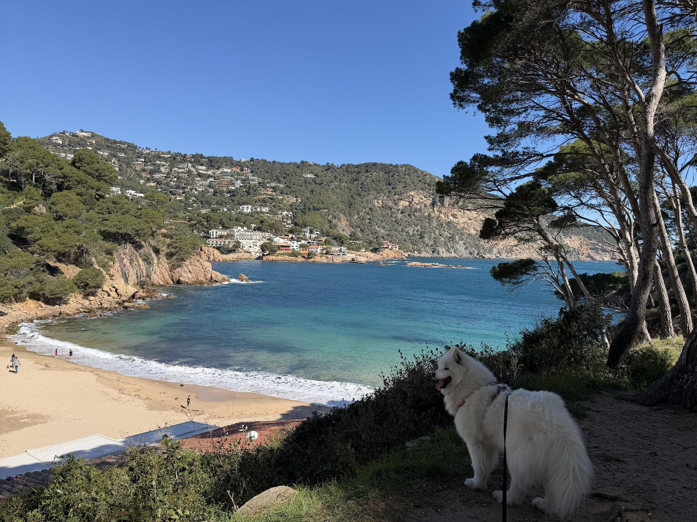 Playa