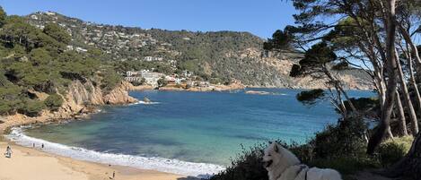 Playa
