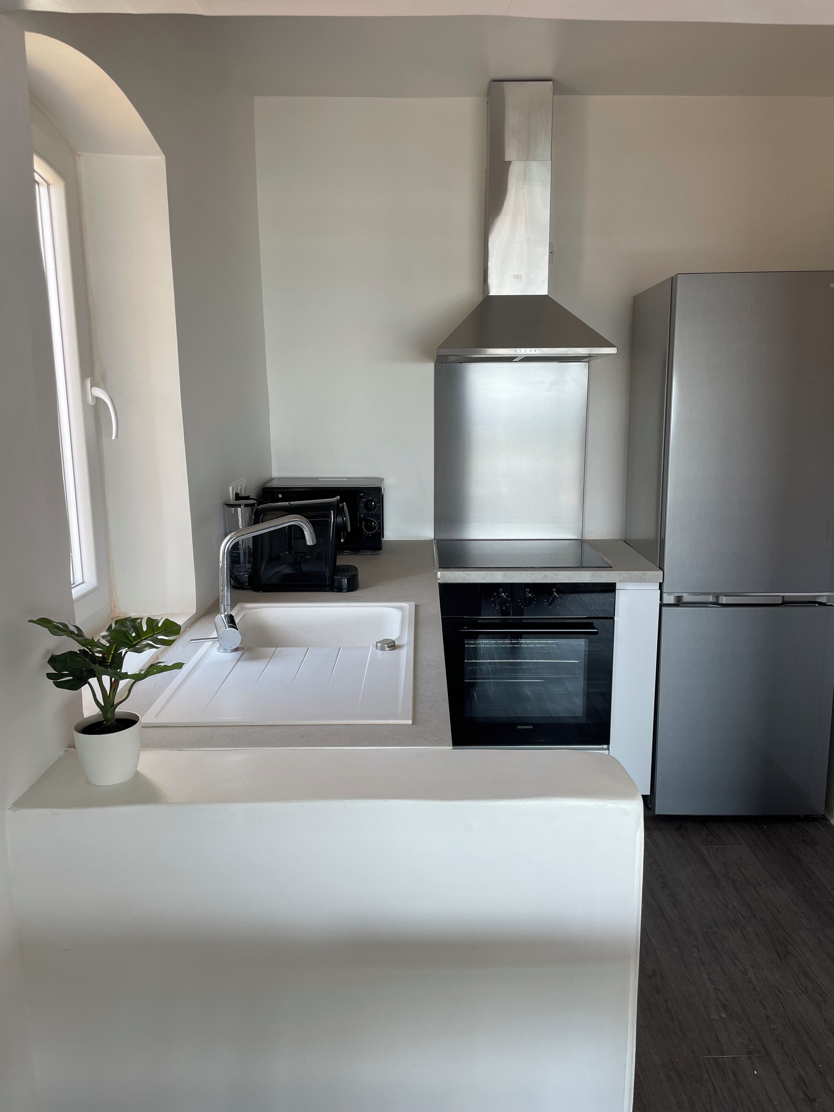 A modern kitchen with a built-in oven, a stainless steel range hood, a refrigerator, and a sink with a plant on the counter.