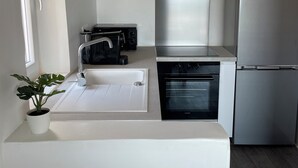Una cocina moderna con horno empotrado, campana extractora de acero inoxidable, refrigerador y pileta con una planta en la encimera.