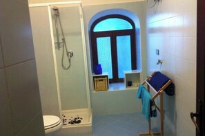 Bathroom features a shower enclosure with handheld showerhead, toilet, and storage space.