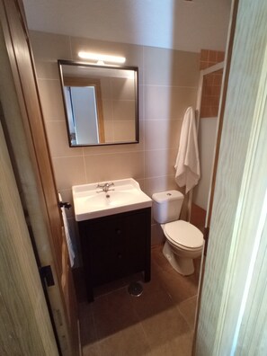 Bathroom features a sink, mirror, and toilet, with a towel hanging nearby.