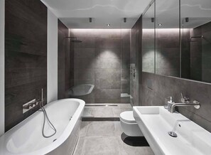 Shower, hair dryer, towels