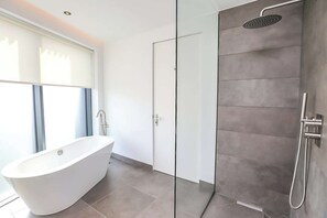 Shower, hair dryer