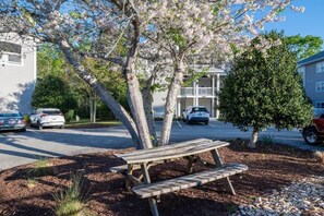 Una calle residencial con coches aparcados, un banco de madera y un árbol con flores rosadas.