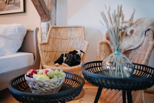 12 bedrooms, desk, iron/ironing board, WiFi - Newly reconstructed monument in the heart of Transylvania. (Cristuru Secuiesc)