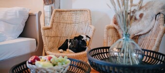 Newly reconstructed monument in the heart of Transylvania.