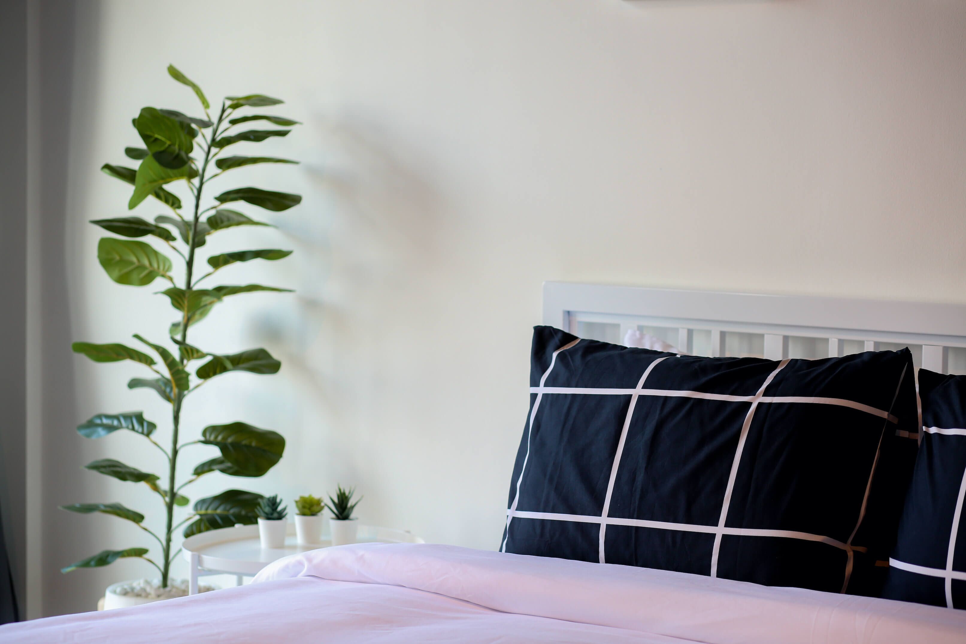 A neatly made bed with a white headboard, a large green plant, and a small table with a potted plant beside it.