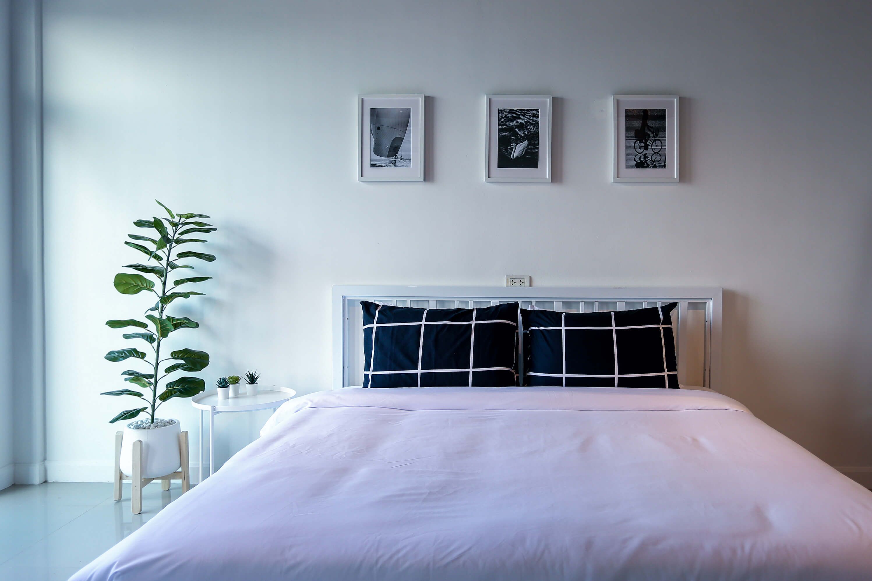Single Room, 1 King Bed, Shared Bathroom | Free WiFi, bed sheets