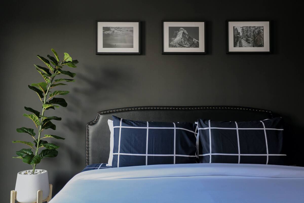 A neatly made bed with a dark headboard and blue and white checkered pillows, a potted plant, and three framed photographs on the wall.