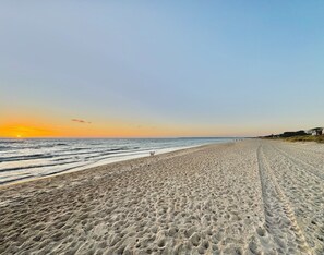 Ubicación a pie de playa, tumbonas y toallas de playa