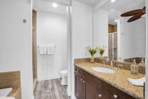 Shower, hair dryer, towels