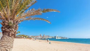 A beach with a palm tree, sandy shore, and a cityscape in the background. - Location vue mer Saint Raphaël (Saint-Raphaël)