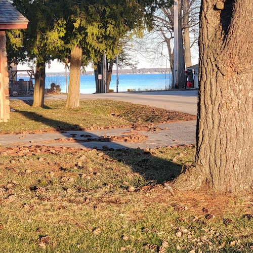  Lakeview Houghton Lake/  Firepit / Gazebo / Kayak / SUP / A/C / Fishing / Grill