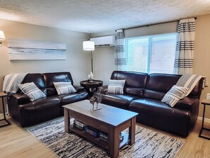 Smart TV, fireplace, books