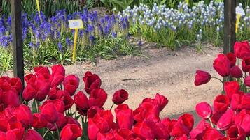 Terrein van de accommodatie