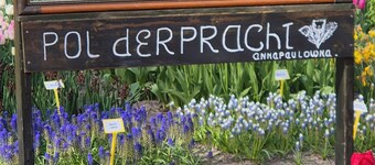 Hotel suites for 3 or 4 persons with WiFi in Anna Paulowna