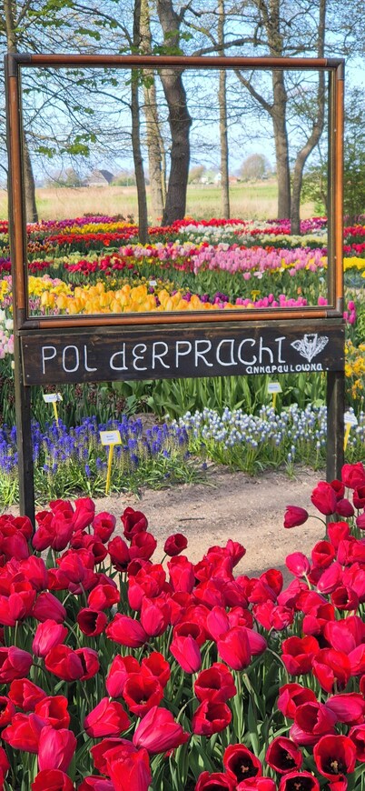 Hotel suites for 3 or 4 persons with WiFi in Anna Paulowna