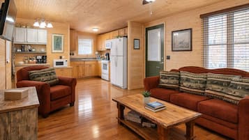 Smart TV, chimenea y libros