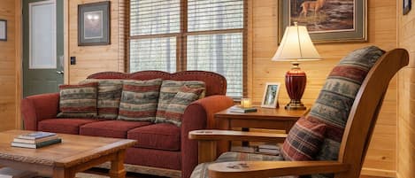 Smart TV, chimenea y libros