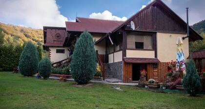 Cabana Barbu