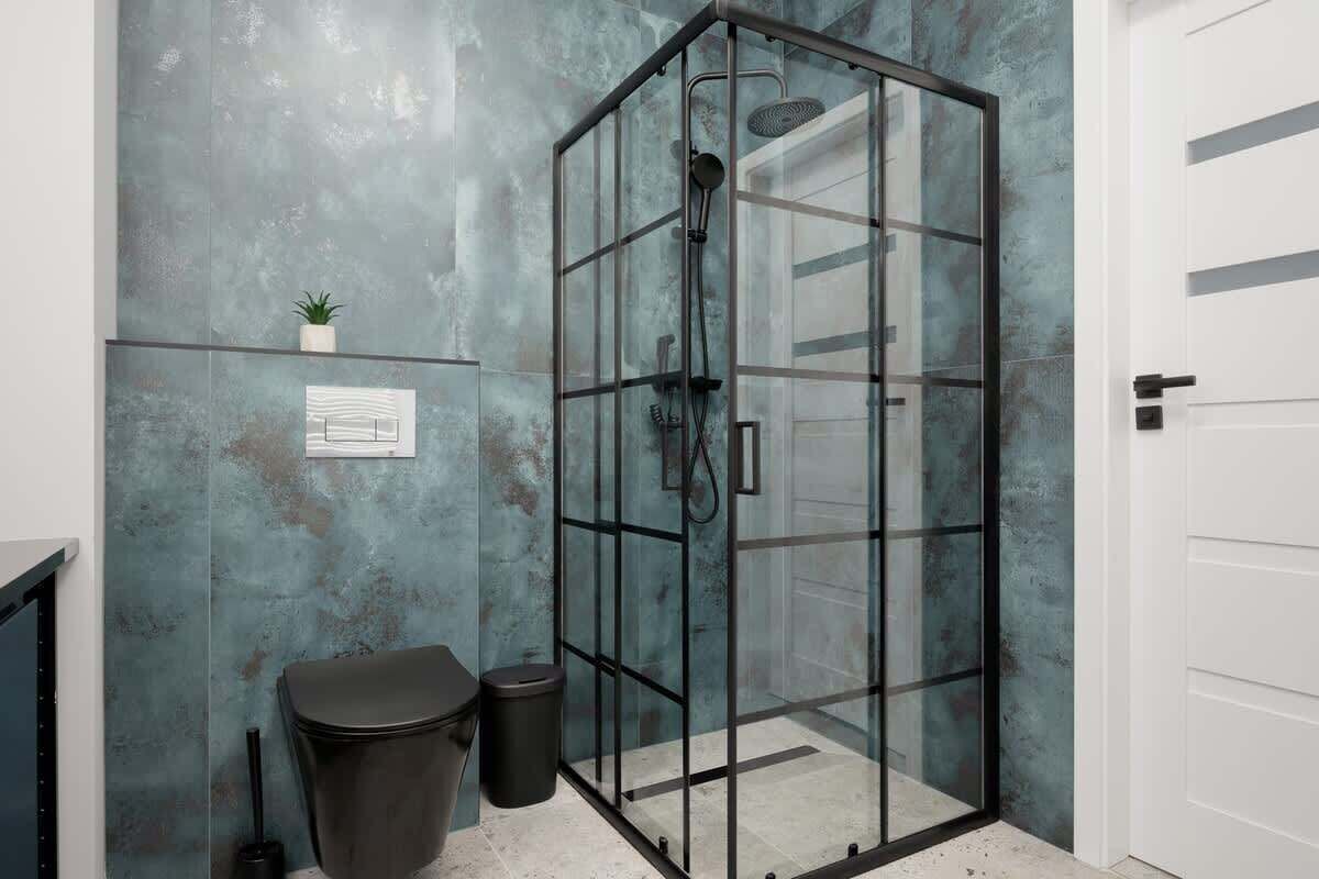 Shower, hair dryer, shampoo