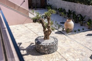 Detalle del exterior