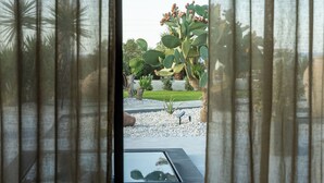 A view through a window with curtains, featuring a cactus plant, a small pond, and a stone pathway. - La Rêve Luxury Apartments (Hersonissos)