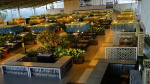 Free daily buffet breakfast - Mirasol Resort (Daman)