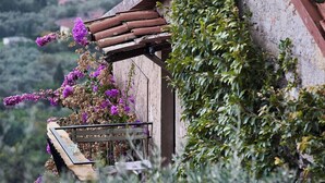 A rustic building with a wooden staircase and a bench.
