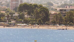 Une vue sur la côte, avec une plage, des palmiers et des bâtiments en arrière-plan.