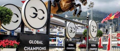 A horse jumping over a series of 'Global Champions' signs.