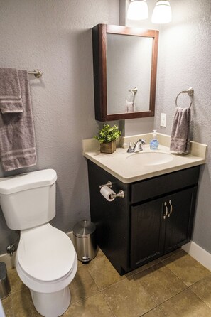 Hair dryer, towels, soap, shampoo